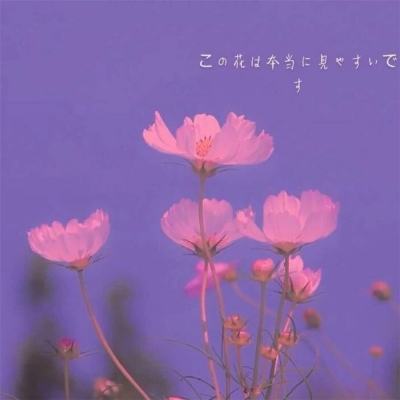 黑魂手游最新版(暂未上线)v1.0 官方安卓版