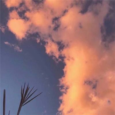 幻想101手游下载